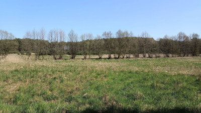 Na sprzedaż działka rekreacyjna - Silna -
lubuskie Zdjęcie nr 8