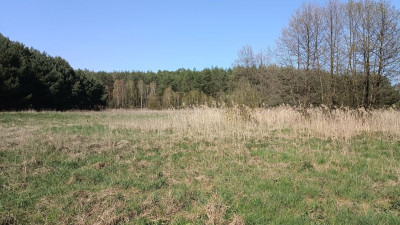 Na sprzedaż działka rekreacyjna - Silna -
lubuskie Zdjęcie nr 9