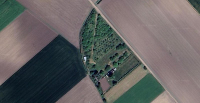 Na sprzedaż działka rolna - Dziećmierowo -
wielkopolskie Zdjęcie nr 6