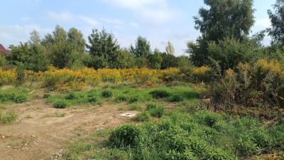 Na sprzedaż działka budowlana - Bytkowo -
wielkopolskie Zdjęcie nr 15