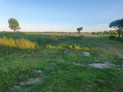 Na sprzedaż działka budowlana - Goniczki -
wielkopolskie Zdjęcie nr 5