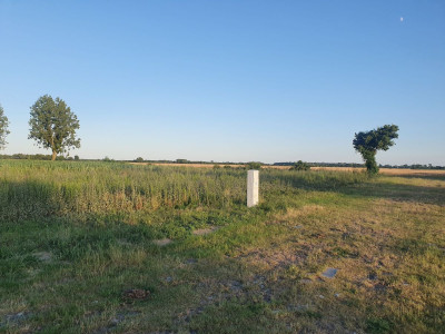 Na sprzedaż działka budowlana - Goniczki -
wielkopolskie Zdjęcie nr 15