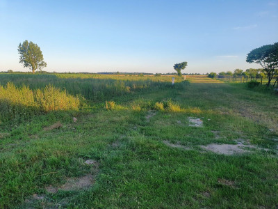 Na sprzedaż działka budowlana - Goniczki -
wielkopolskie Zdjęcie nr 6