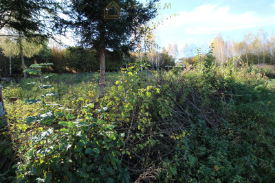 Działka z potencjałem inwestycyjnym Sosnowiec - Sosnowiec  -
śląskie Zdjęcie nr 2