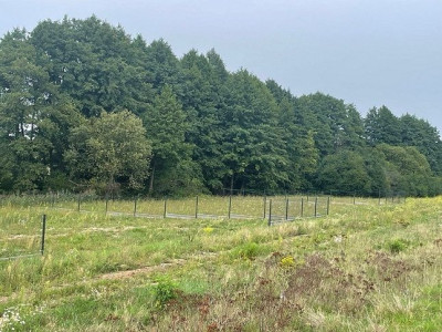 Na sprzedaż działka budowlana - Suchy Las - wielkopolskie