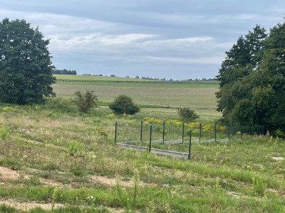 Na sprzedaż działka budowlana - Suchy Las -
wielkopolskie Zdjęcie nr 3