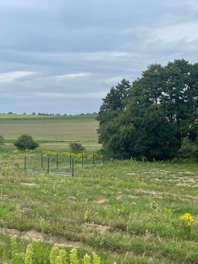 Na sprzedaż działka budowlana - Suchy Las -
wielkopolskie Zdjęcie nr 5