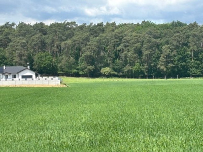 Na sprzedaż działka budowlana - Mielno -
wielkopolskie Zdjęcie nr 3