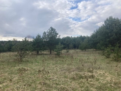 Na sprzedaż działka budowlana - Lubień -
wielkopolskie Zdjęcie nr 2