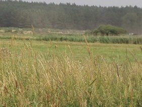 Na sprzedaż działka rolna - Brójce -
lubuskie Zdjęcie nr 2