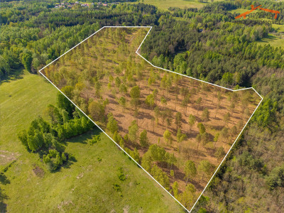 Na sprzedaż działka budowlana - Pokrzywy - warmińsko-mazurskie