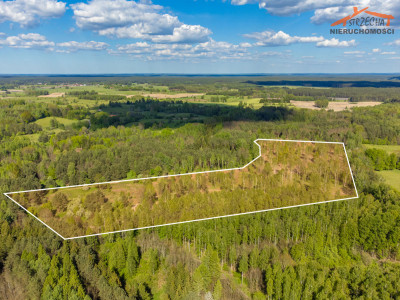 Na sprzedaż działka budowlana - Pokrzywy -
warmińsko-mazurskie Zdjęcie nr 4