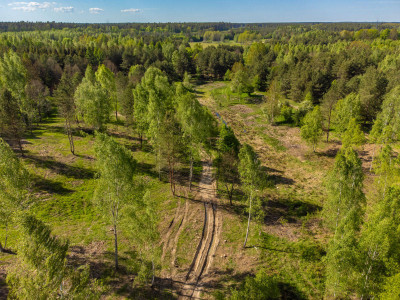 Na sprzedaż działka budowlana - Pokrzywy -
warmińsko-mazurskie Zdjęcie nr 6