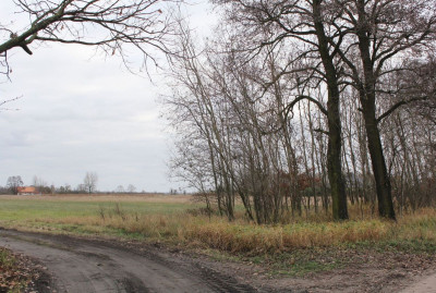 Na sprzedaż działka budowlana - Prądki -
kujawsko-pomorskie Zdjęcie nr 6