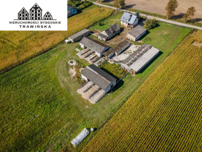 Na sprzedaż działka rolna - Sypniewo -
kujawsko-pomorskie Zdjęcie nr 11