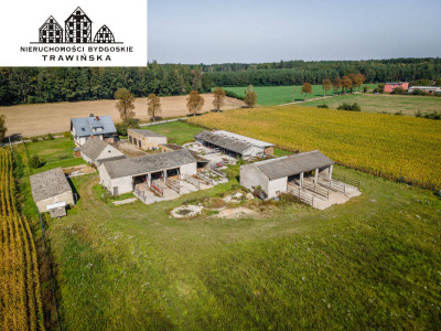 Na sprzedaż działka rolna - Sypniewo -
kujawsko-pomorskie Zdjęcie nr 5