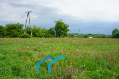 Działka budowlana Pogwizdów 1063 m2 - Pogwizdów   -
śląskie Zdjęcie nr 2