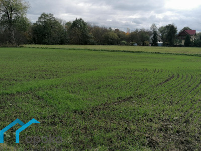 Działka inwestycyjna na sprzedaż - Bąków   -
śląskie Zdjęcie nr 3