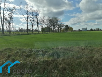 Działka inwestycyjna na sprzedaż - Bąków   -
śląskie Zdjęcie nr 6