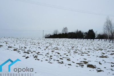 Działka budowlana w Cieszynie Pikiety 2478 m2 - cieszyński  -
śląskie Zdjęcie nr 12