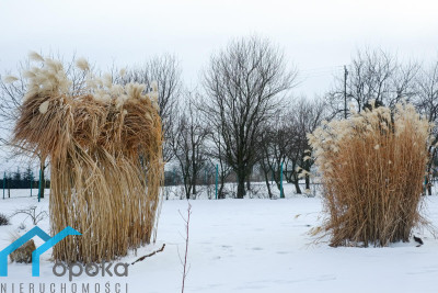 Działka budowlana w Cieszynie Pikiety 2478 m2 - cieszyński  -
śląskie Zdjęcie nr 14