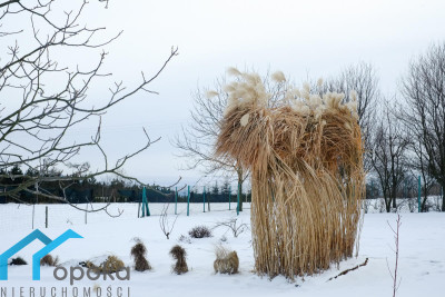 Działka budowlana w Cieszynie Pikiety 2478 m2 - cieszyński  -
śląskie Zdjęcie nr 4