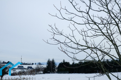 Działka budowlana w Cieszynie Pikiety 2478 m2 - cieszyński  -
śląskie Zdjęcie nr 8