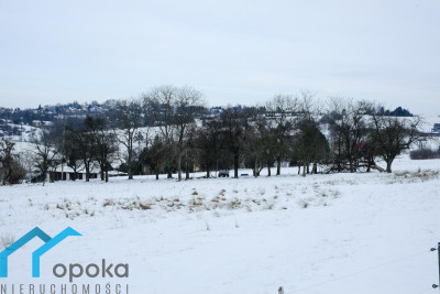 Działka budowlana w Cieszynie Pikiety 2478 m2 - cieszyński  -
śląskie Zdjęcie nr 9
