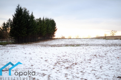 Goleszów działka budowlana 1013 m2 - Goleszów   -
śląskie Zdjęcie nr 11