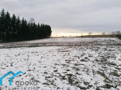 Goleszów działka budowlana 1013 m2 - Goleszów   -
śląskie Zdjęcie nr 12