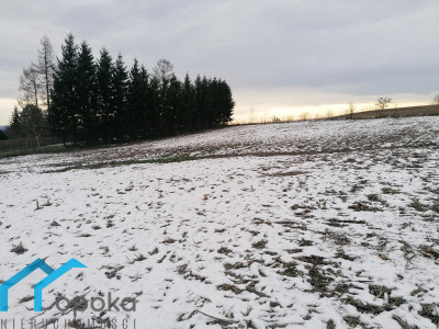 Goleszów działka budowlana 1013 m2 - Goleszów   -
śląskie Zdjęcie nr 8
