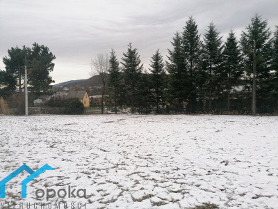 Goleszów działka budowlana 1013 m2 - Goleszów   -
śląskie Zdjęcie nr 9