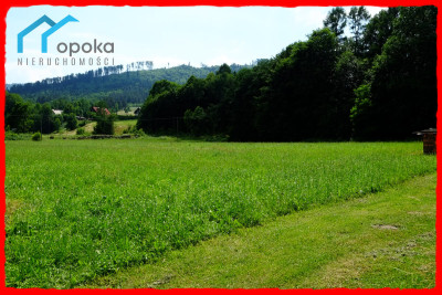 Działka budowlana Brenna 1000 m - Brenna   - śląskie