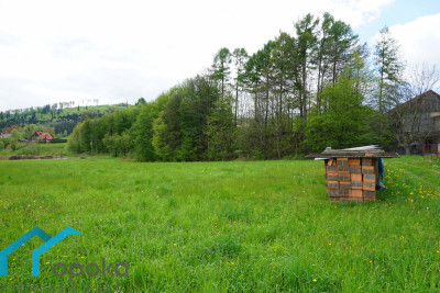 Działka budowlana Brenna 1000 m - Brenna   -
śląskie Zdjęcie nr 5