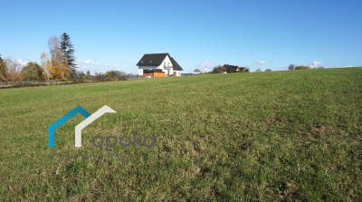 Działka budowlana Zamarski 106 ha - Zamarski   -
śląskie Zdjęcie nr 5