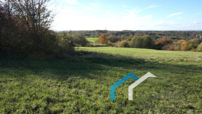 Działka budowlana Zamarski 106 ha - Zamarski   -
śląskie Zdjęcie nr 7