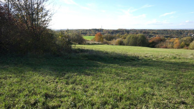 Działka budowlana Zamarski 106 ha - Zamarski   -
śląskie Zdjęcie nr 8