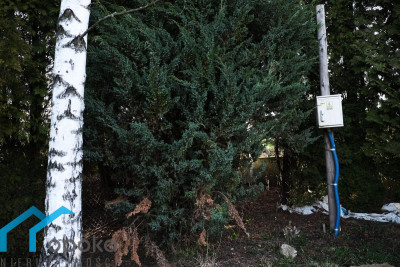 Działka rekreacji indywidualnej 2800 m - Cieszyn   -
śląskie Zdjęcie nr 12