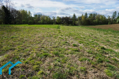 Działka budowlana 800 m w Pogwizdowie - Pogwizdów   -
śląskie Zdjęcie nr 11