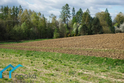 Działka budowlana 800 m w Pogwizdowie - Pogwizdów   - śląskie