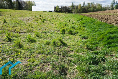 Działka budowlana 800 m w Pogwizdowie - Pogwizdów   -
śląskie Zdjęcie nr 4
