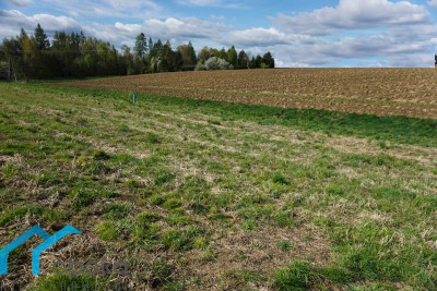Działka budowlana 800 m w Pogwizdowie - Pogwizdów   -
śląskie Zdjęcie nr 7