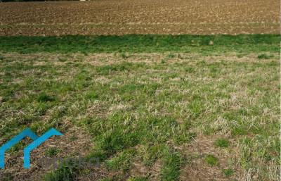 Działka budowlana 800 m w Pogwizdowie - Pogwizdów   -
śląskie Zdjęcie nr 8