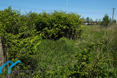 Działka  - Pawłowice   -
śląskie Zdjęcie nr 10