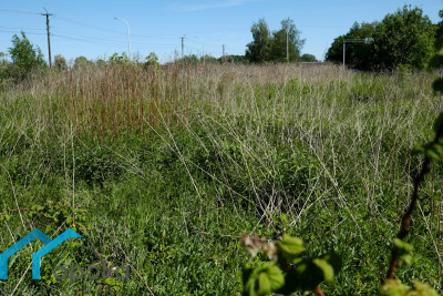 Działka  - Pawłowice   -
śląskie Zdjęcie nr 11