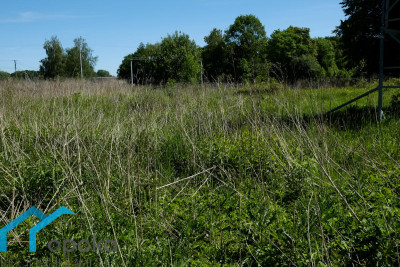 Działka  - Pawłowice   -
śląskie Zdjęcie nr 12