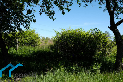 Działka  - Pawłowice   -
śląskie Zdjęcie nr 14