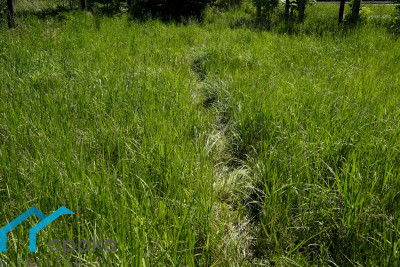 Działka  - Pawłowice   -
śląskie Zdjęcie nr 3