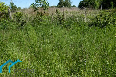 Działka  - Pawłowice   -
śląskie Zdjęcie nr 4