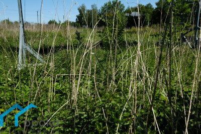 Działka  - Pawłowice   -
śląskie Zdjęcie nr 6